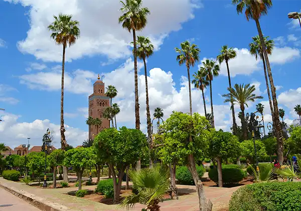 La mezquita Koutoubia y palmeras bajo el sol en Marrakech