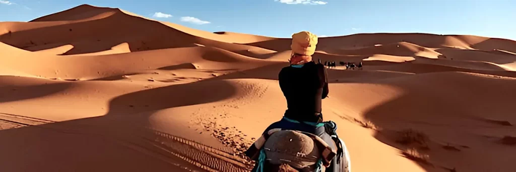 Erg Chebbi of Moroccan sahara desert in sunny day with camel trek 