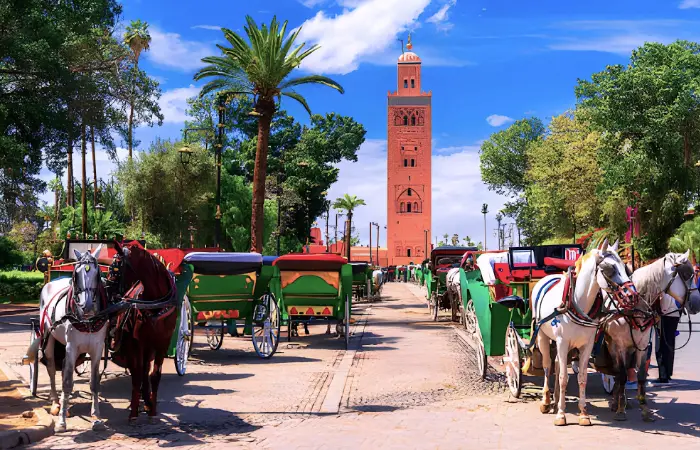Morocco tours from Marrakech with horse carriages near Koutoubia Mosque in the city center